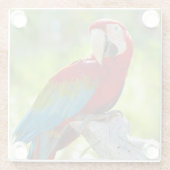 枝に坐っているコンゴウインコ ガラスコースター (裏面)