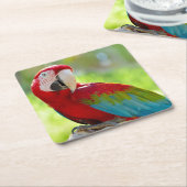 枝に坐っているコンゴウインコ スクエアペーパーコースター (アングル)