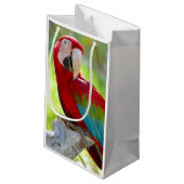 枝に坐っているコンゴウインコ スモールペーパーバッグ (裏面アングル)