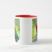 枝に坐っているコンゴウインコ マグカップ (中央)