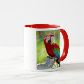 枝に坐っているコンゴウインコ マグカップ (正面右)