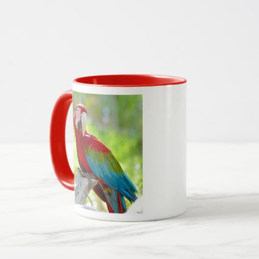 枝に坐っているコンゴウインコ マグカップ (正面左)