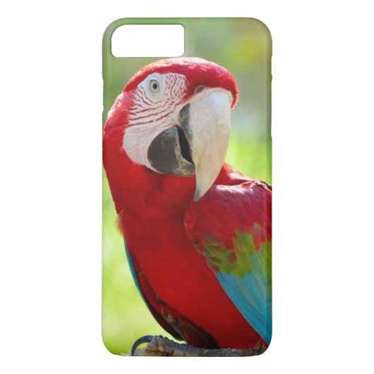 枝に坐っているコンゴウインコ Case-Mate iPhoneケース (裏面)