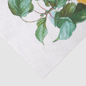 枝に実った桃 薄葉紙 (詳細)