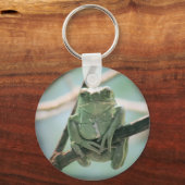枝に座ったかわいいグリーンカエル|過去記事 キーホルダー (正面)