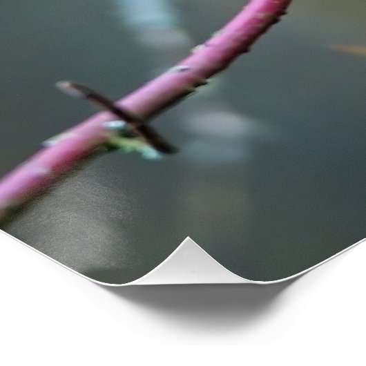 枝に座ったカワセミ ポスター (コーナー)