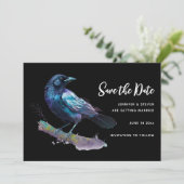 枝に座るキレイなカラス セーブザデート (スタンド正面)