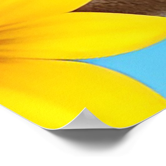 枝に止まった明るい黄色の松の鳥 ポスター (角)