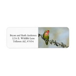 枝に止まるバライロインコ ラベル