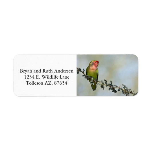 枝に止まるバライロインコ ラベル (正面)