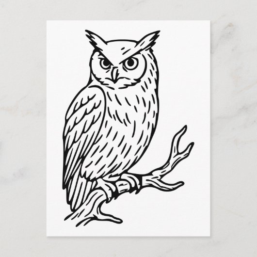 枝に止まるミミズクの線画 ポストカード (正面)