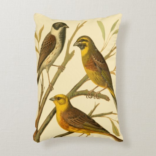 枝に止まる三羽の家畜 アクセントクッション (正面(垂直))