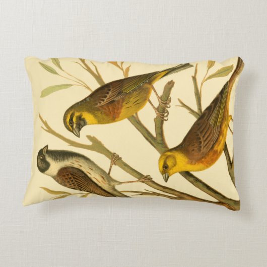 枝に止まる三羽の家畜 アクセントクッション (裏面)