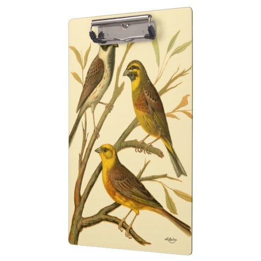 枝に止まる三羽の家畜 クリップボード (左)