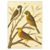 枝に止まる三羽の家畜 クリップボード (裏面)