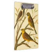 枝に止まる三羽の家畜 クリップボード (右)