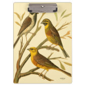 枝に止まる三羽の家畜 クリップボード (正面)