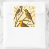 枝に止まる三羽の家畜 スクエアシール (バッグ)