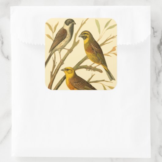 枝に止まる三羽の家畜 スクエアシール (バッグ)