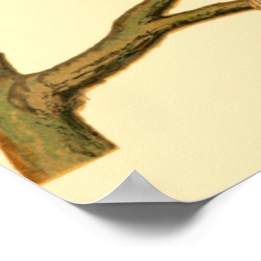 枝に止まる三羽の家畜 ポスター (角)