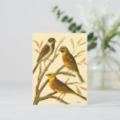 枝に止まる三羽の家畜 ポストカード (スタンド正面)