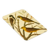 枝に止まる三羽の家畜 マグネット (右側)