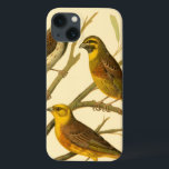 枝に止まる三羽の家畜 iPhone 13ケース<br><div class="desc">アーティストのW.ラトレッジは、これらの国内鳥の鮮やかな色を完璧に捉えた。このシンプルを美しくリアルに絵画しろ。2つの黄色の鳥と1つの暗い鳥の枝上に方向を見て側のビュ違うー。</div>