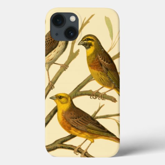 枝に止まる三羽の家畜 Case-Mate iPhoneケース (裏面)