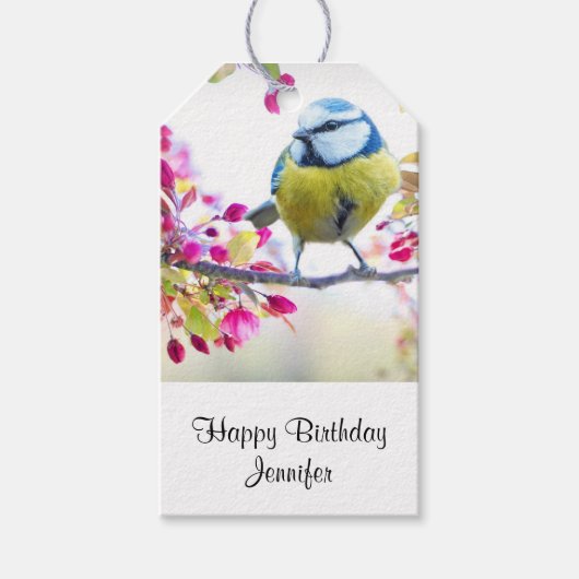 枝に止まる可愛い青と黄色の鳥 誕生日 ギフトタグ (正面)