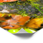 枝に生える菌類、ニスナ＝アマトール ポスター (角)