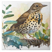 枝に白い無地の背景を持つメドウラルク タイル (正面)