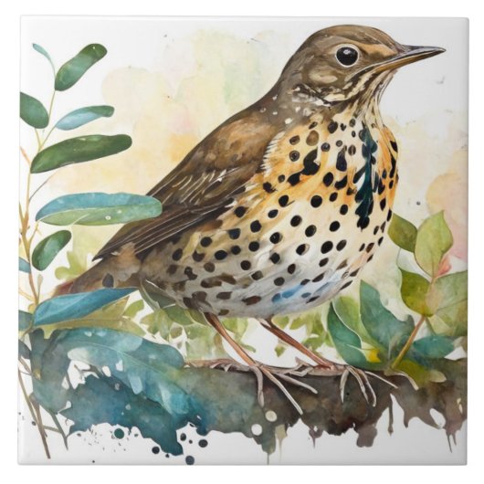 枝に白い無地の背景を持つメドウラルク タイル (正面)