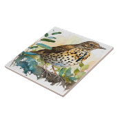 枝に白い無地の背景を持つメドウラルク タイル (側面)