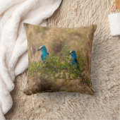 枝に美しい青い鳥を2羽 クッション (ブランケット)