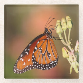 枝に蝶の女王 ガラスコースター