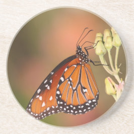枝に蝶の女王 コースター