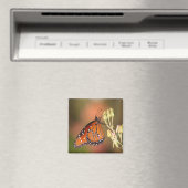 枝に蝶の女王 マグネット (インサイチュ (食洗機))