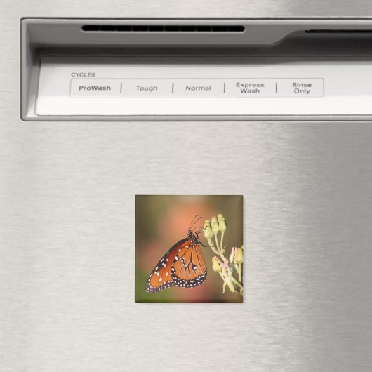 枝に蝶の女王 マグネット (インサイチュ (食洗機))