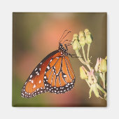 枝に蝶の女王 マグネット (正面)