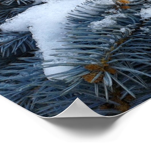 枝に雪を積む ポスター (角)