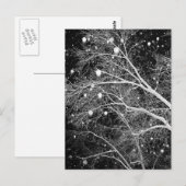 枝に雪 ポストカード (正面/裏面)