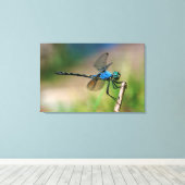 枝に青い竜のフライのクローズアップ キャンバスプリント (インサイチュ (ウッドフロア))