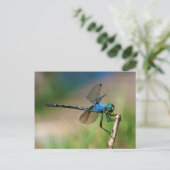 枝に青い竜のフライのクローズアップ ポストカード (スタンド正面)