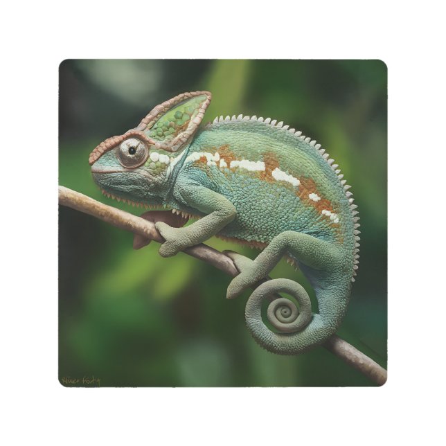 枝に飾ったカメレオン メタルプリント (正面)
