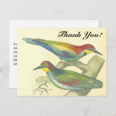 枝に鳥、ヴィンテージスタイル、"ありがとう! ポストカード (正面/裏面)