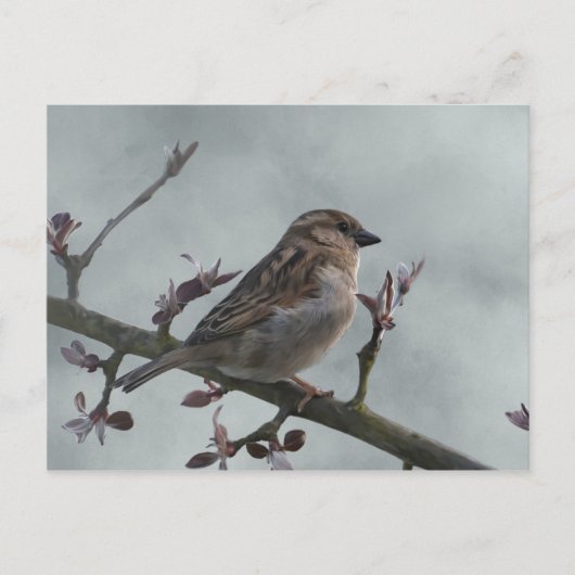 枝のすずめ ポストカード (正面)