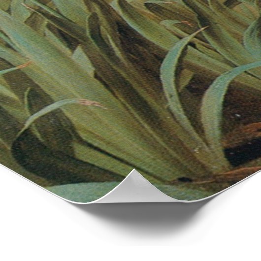 枝のつる下に ポスター (角)