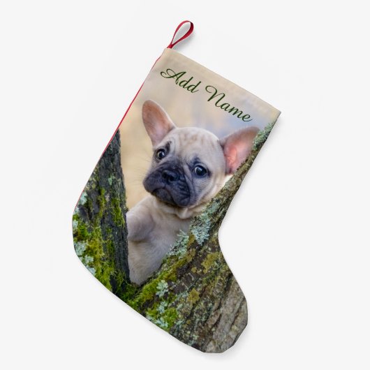 枝のフォークフランスのでポーズをとるかわいいブルドッグの子犬 スモールクリスマスストッキング (正面 (吊り時))