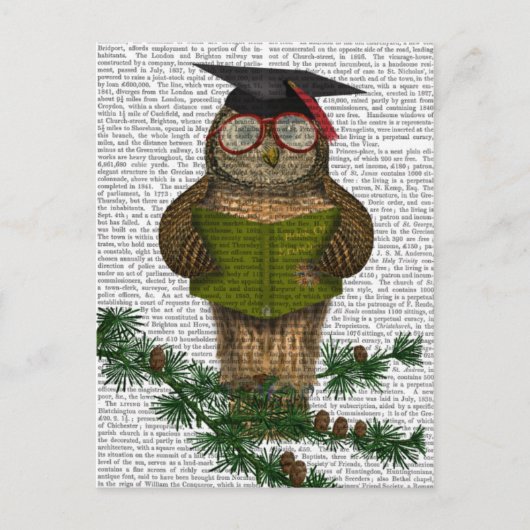 枝のフクロウの読書 ポストカード (正面)