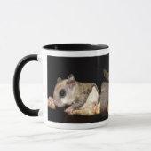 枝のフライヤ マグカップ (左)